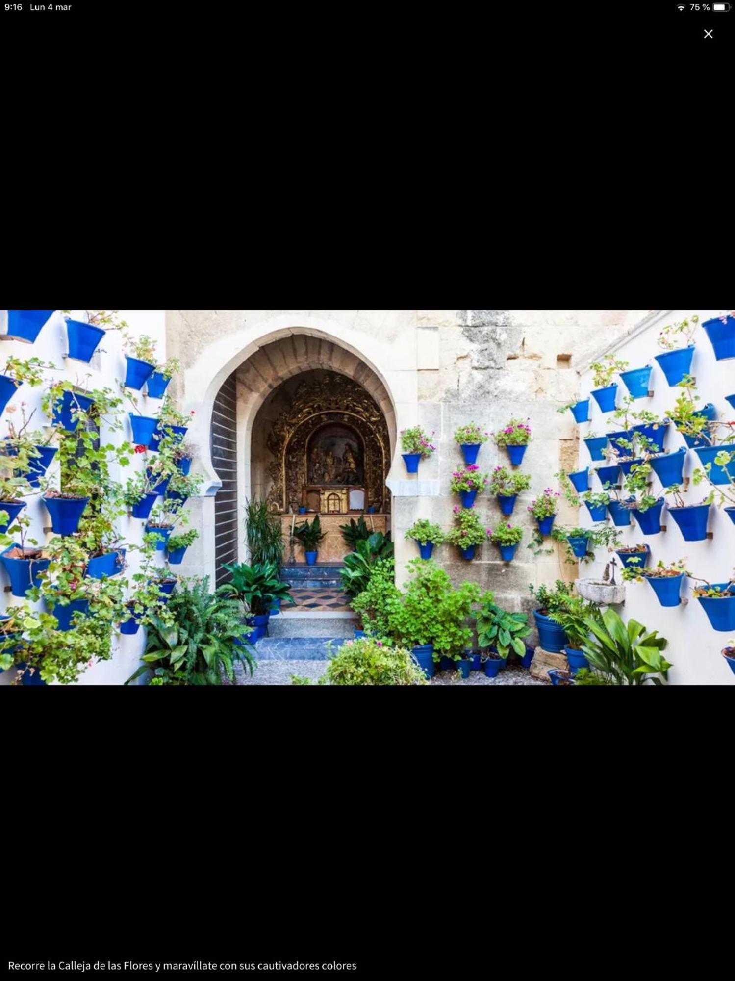 Centro Historico Mezquita Juderia La Preferida Leilighet Córdoba Eksteriør bilde