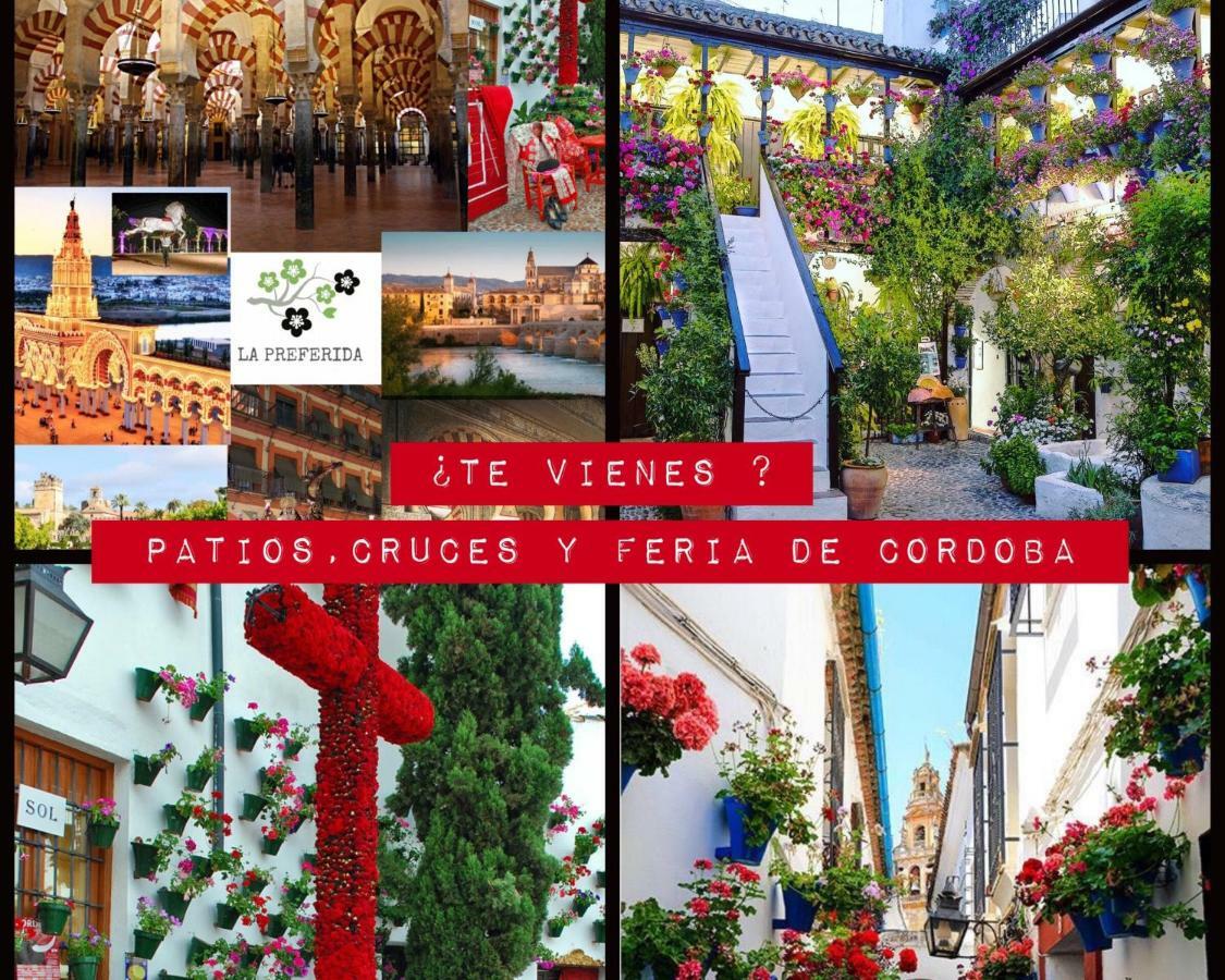 Centro Historico Mezquita Juderia La Preferida Leilighet Córdoba Eksteriør bilde
